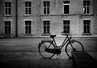 52 - LONELY BIKE - MAES PAUL - belgium